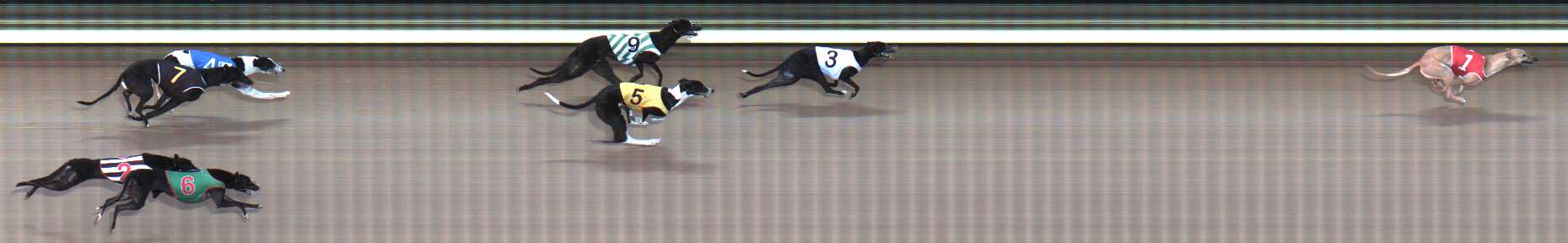 Photo finish for Traralgon Race 6
