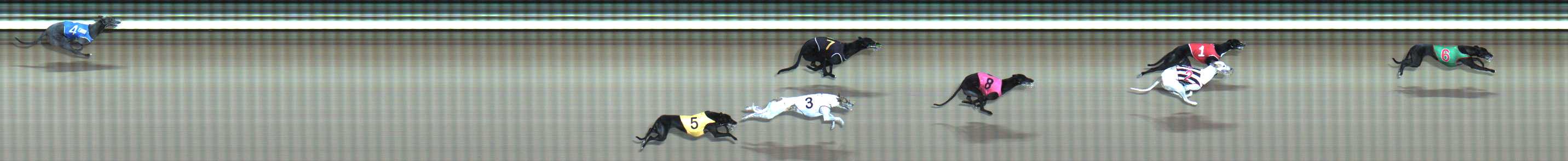 Photo finish for Traralgon Race 7