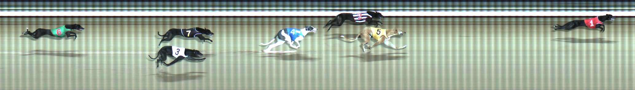 Photo finish for Traralgon Race 9