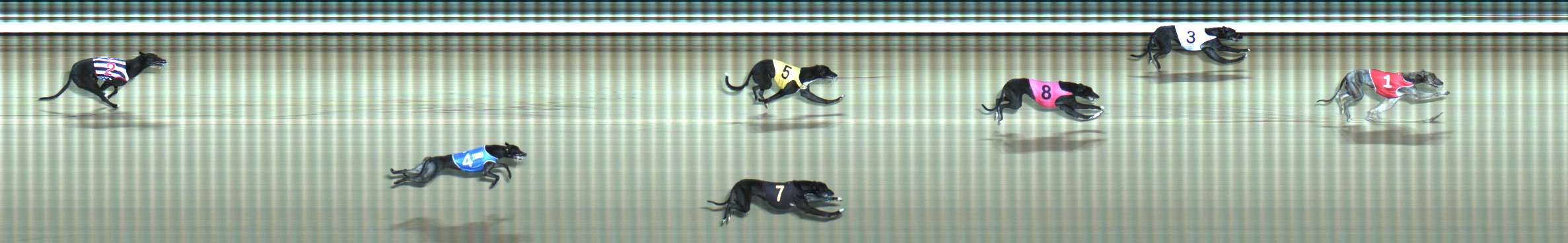 Photo finish for Traralgon Race 10