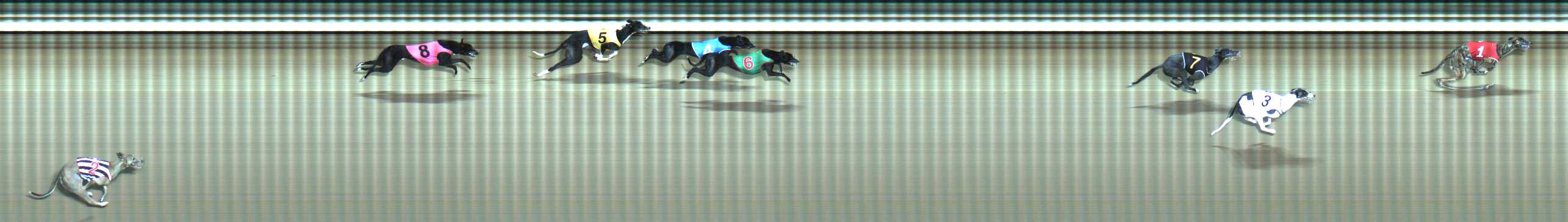 Photo finish for Traralgon Race 11