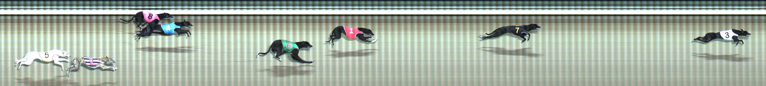 Photo finish for Traralgon Race 12