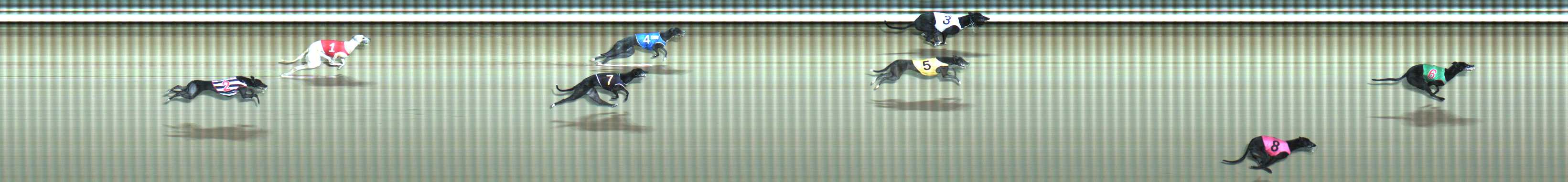 Photo finish for Traralgon Race 5