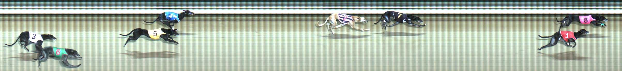 Photo finish for Traralgon Race 7