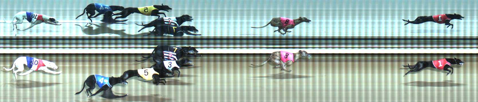 Photo finish for Traralgon Race 9
