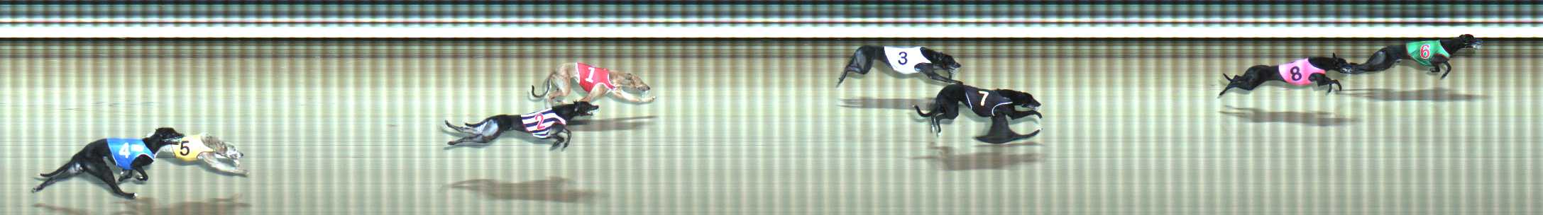 Photo finish for Traralgon Race 10