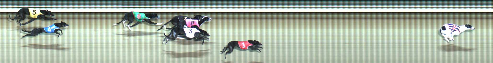 Photo finish for Traralgon Race 12