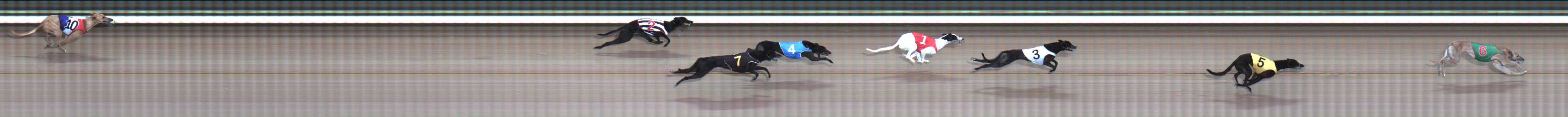 Photo finish for Traralgon Race 1