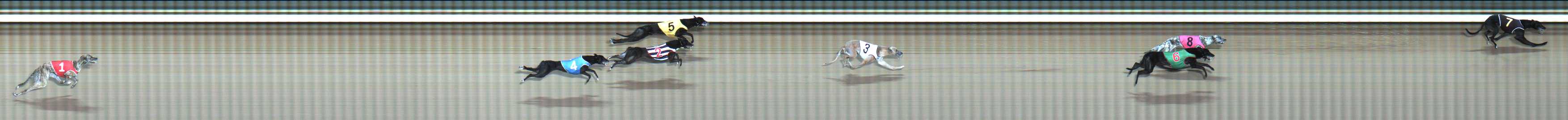 Photo finish for Traralgon Race 2