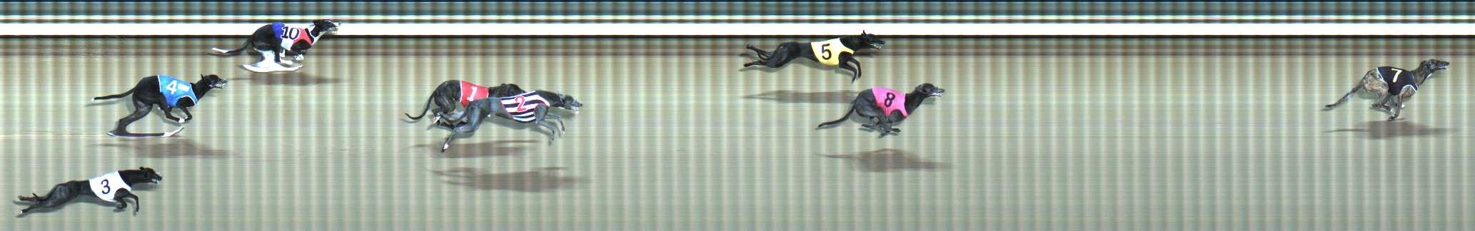 Photo finish for Traralgon Race 3