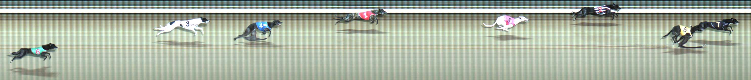 Photo finish for Traralgon Race 4
