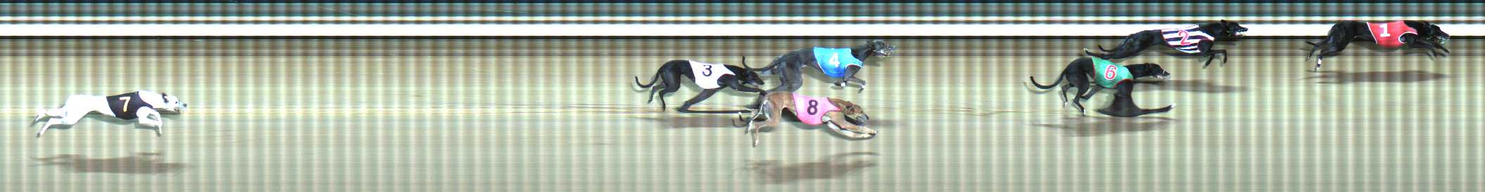 Photo finish for Traralgon Race 5