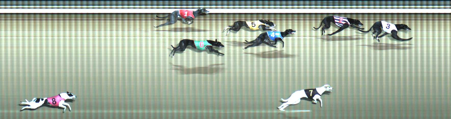 Photo finish for Traralgon Race 6