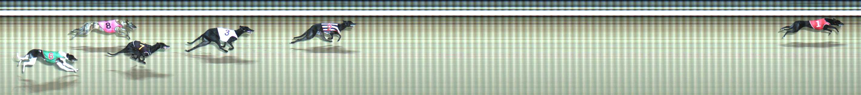 Photo finish for Traralgon Race 7