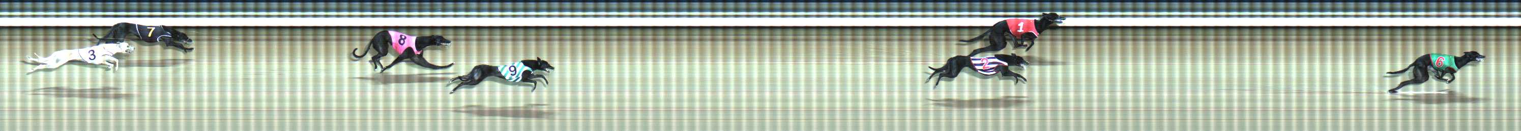 Photo finish for Traralgon Race 8