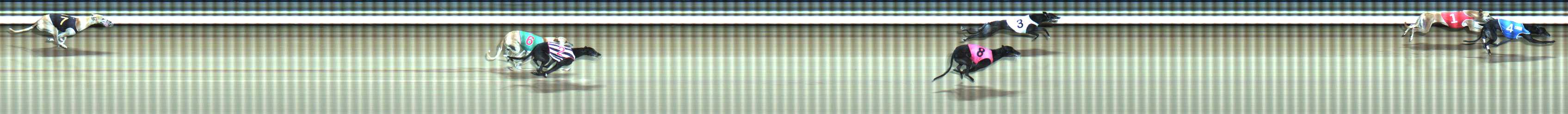 Photo finish for Traralgon Race 9