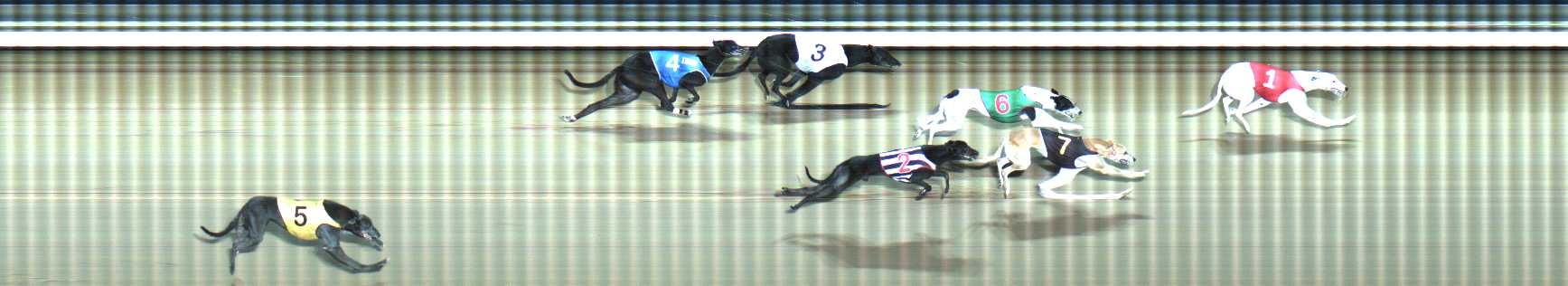 Photo finish for Traralgon Race 10