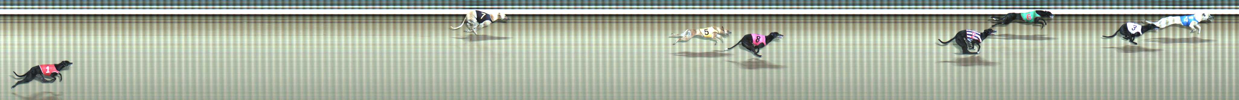 Photo finish for Traralgon Race 11