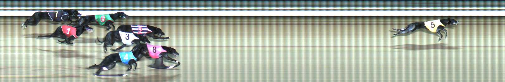 Photo finish for Traralgon Race 12