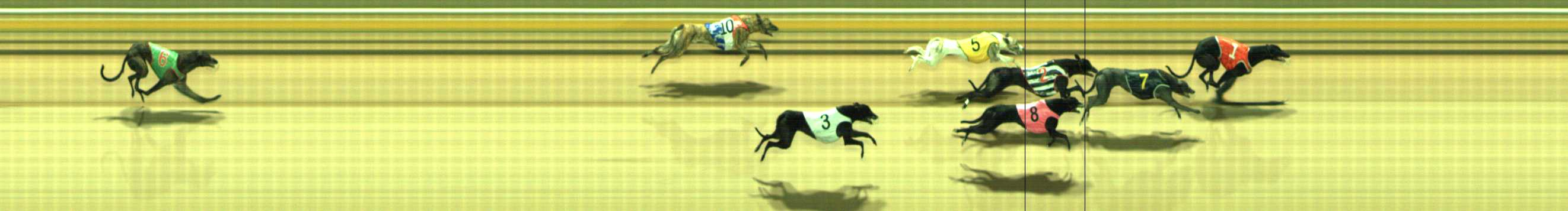 Photo finish for Traralgon Race 12