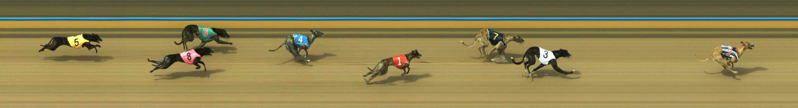 Photo finish for Traralgon Race 3