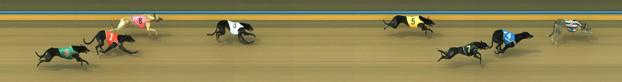 Photo finish for Traralgon Race 4