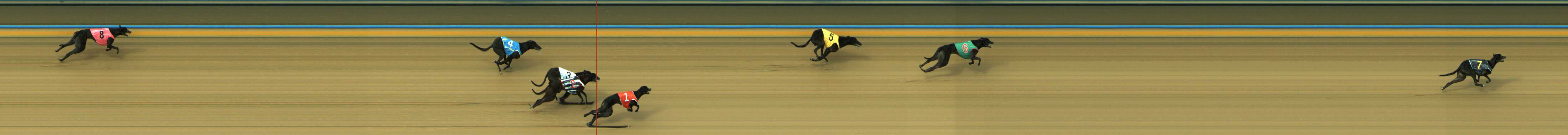 Photo finish for Traralgon Race 5
