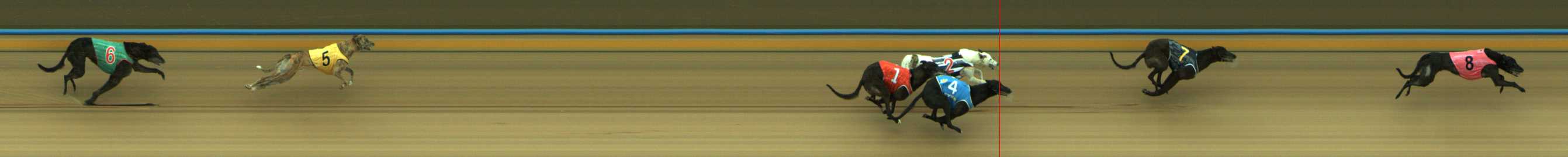 Photo finish for Traralgon Race 7