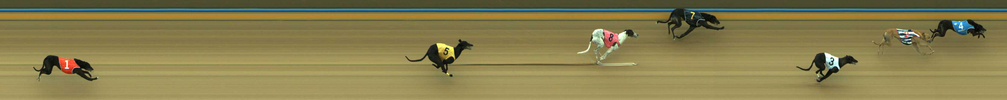 Photo finish for Traralgon Race 8