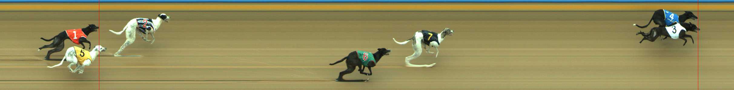 Photo finish for Traralgon Race 9