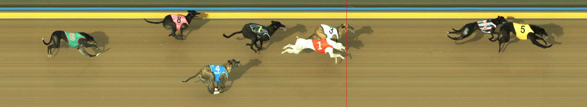Photo finish for Traralgon Race 11