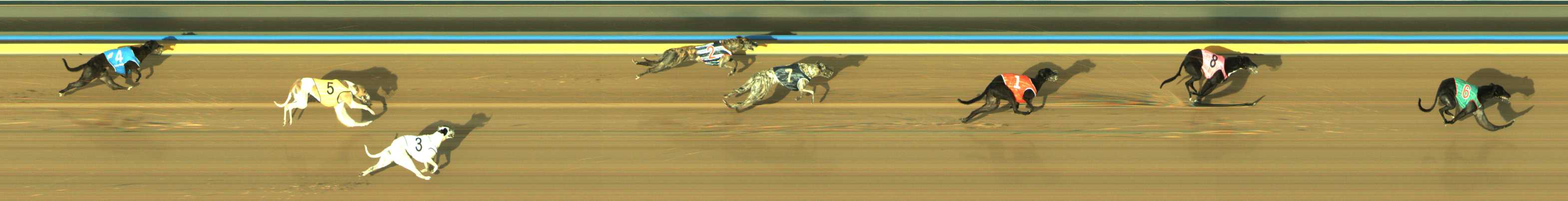 Photo finish for Traralgon Race 12