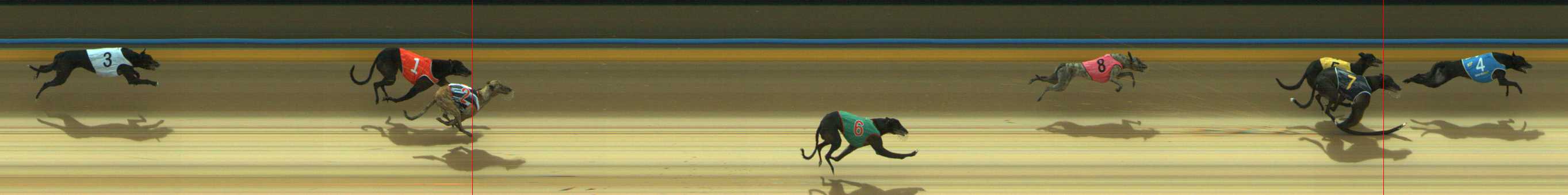 Photo finish for Traralgon Race 1