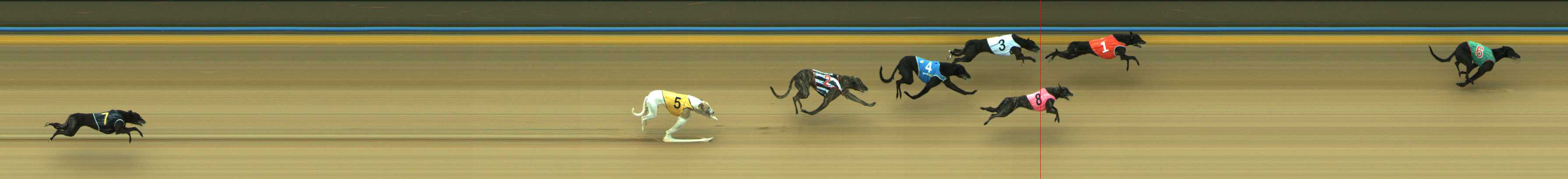 Photo finish for Traralgon Race 2