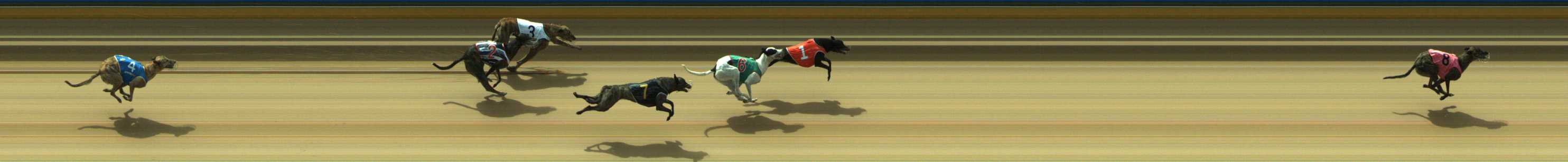Photo finish for Traralgon Race 3