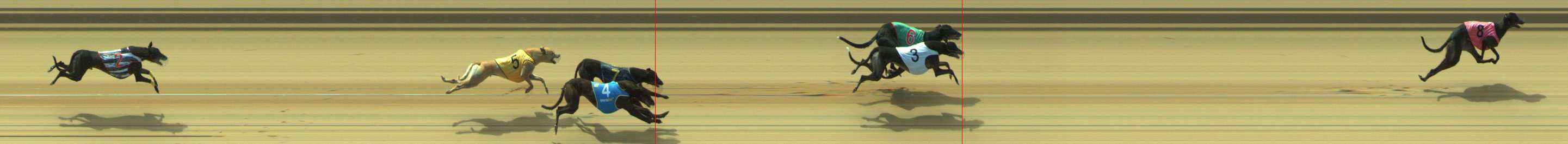 Photo finish for Traralgon Race 4
