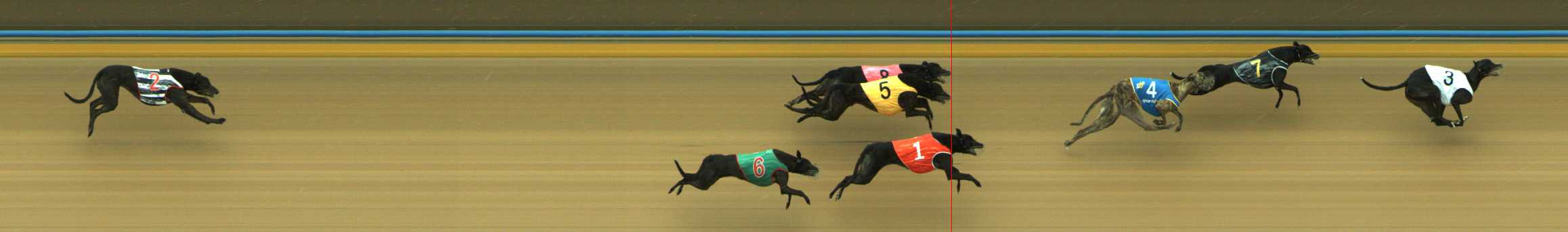 Photo finish for Traralgon Race 5