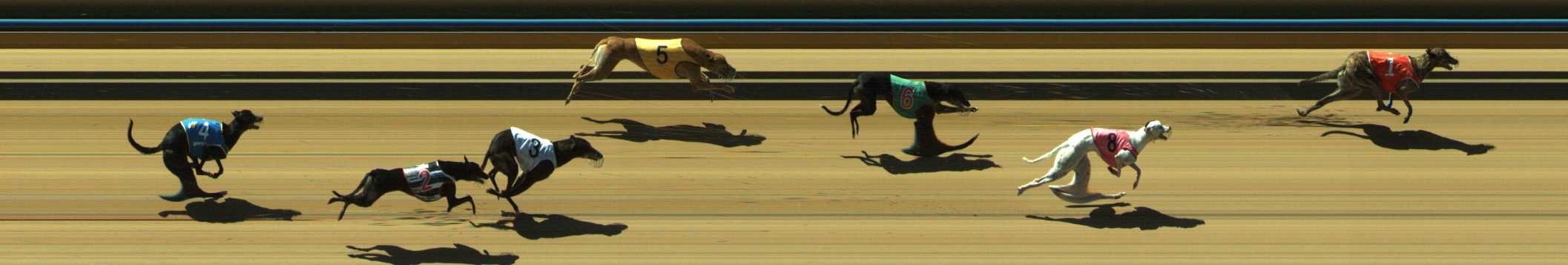 Photo finish for Traralgon Race 6