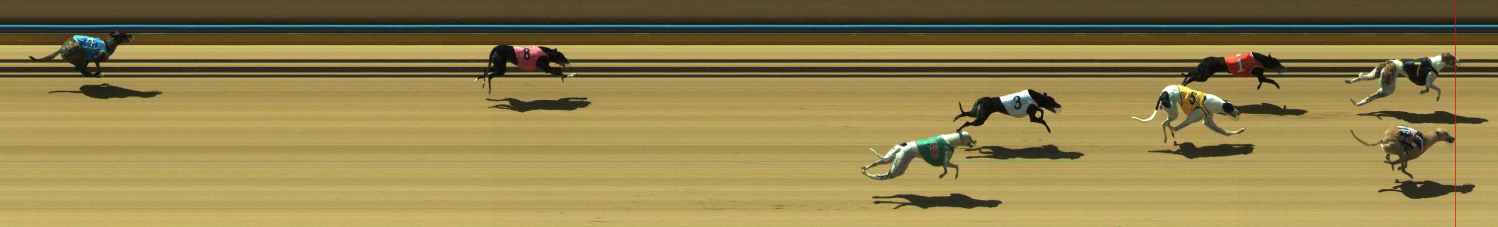 Photo finish for Traralgon Race 7