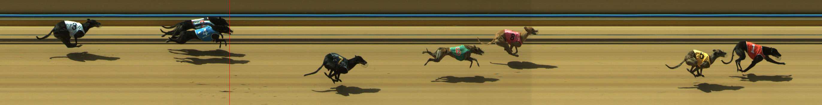 Photo finish for Traralgon Race 8