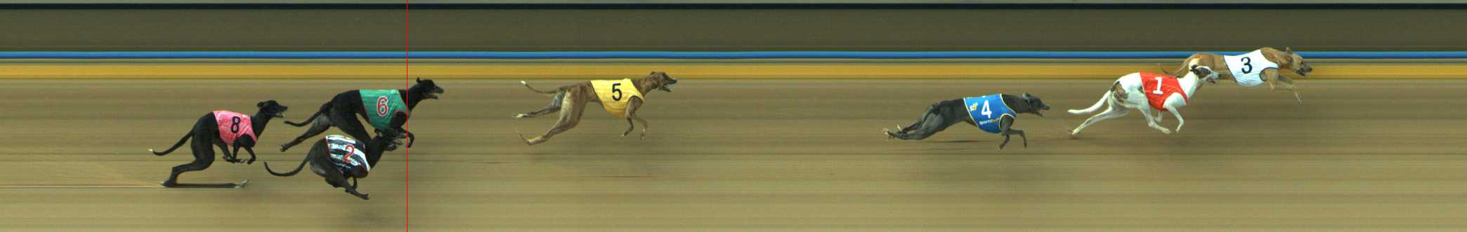 Photo finish for Traralgon Race 9