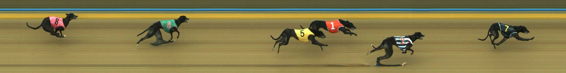 Photo finish for Traralgon Race 10