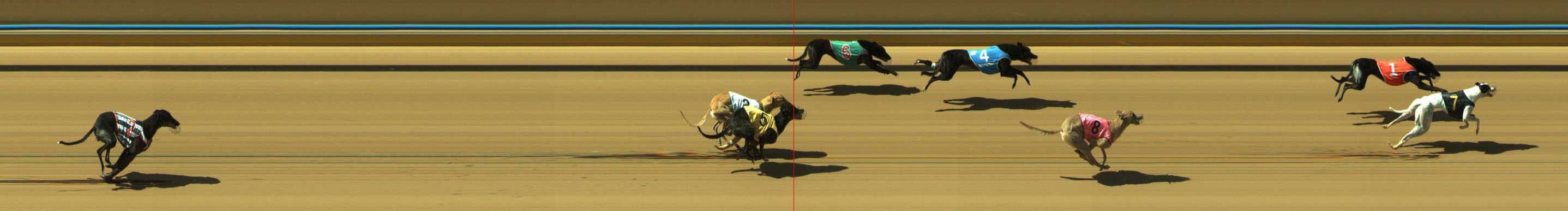 Photo finish for Traralgon Race 11