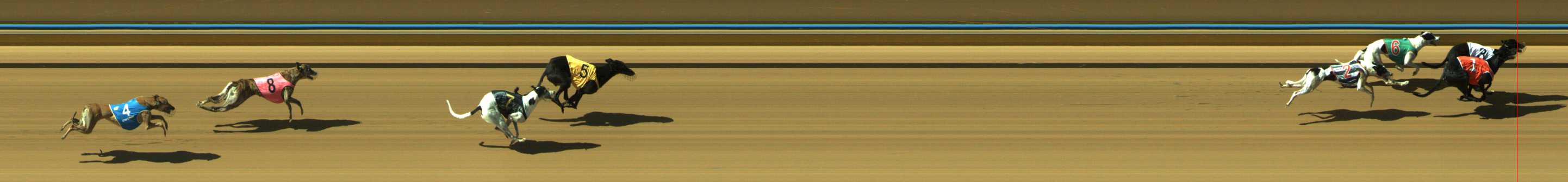 Photo finish for Traralgon Race 12