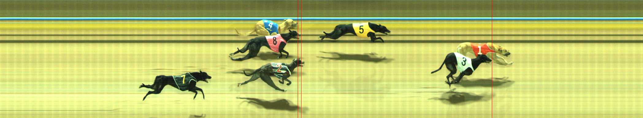 Photo finish for Traralgon Race 1
