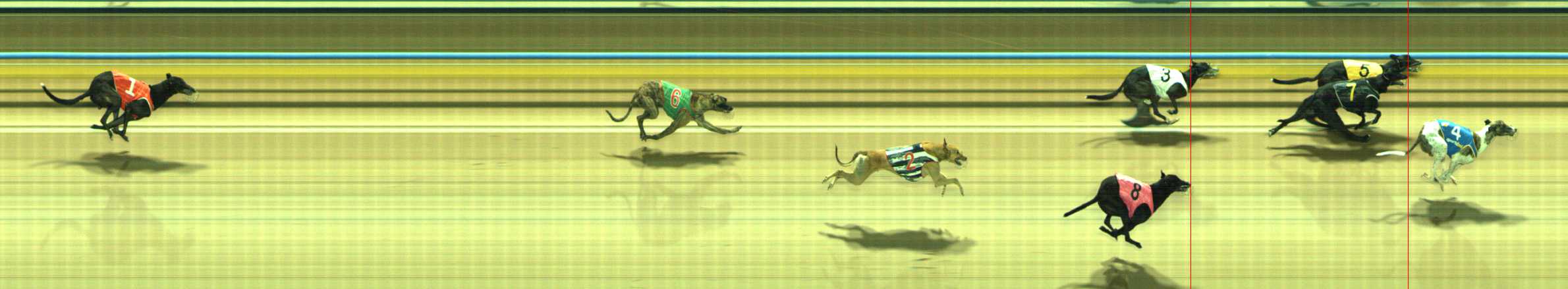Photo finish for Traralgon Race 2