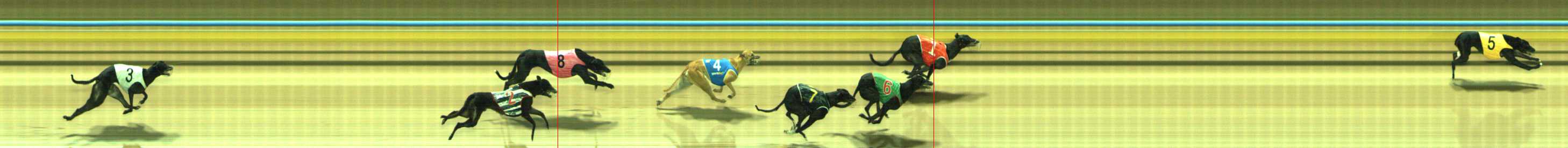 Photo finish for Traralgon Race 3