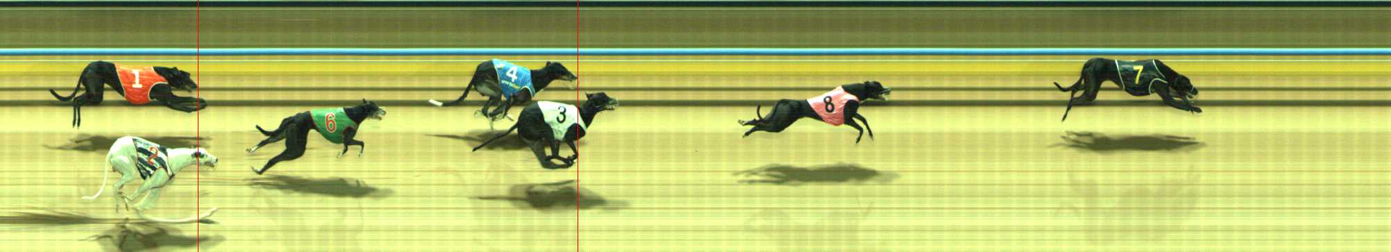 Photo finish for Traralgon Race 4
