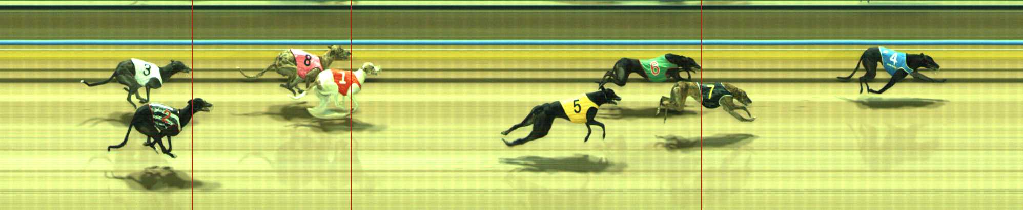 Photo finish for Traralgon Race 5