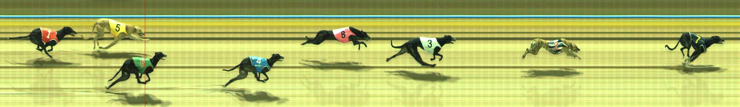Photo finish for Traralgon Race 6